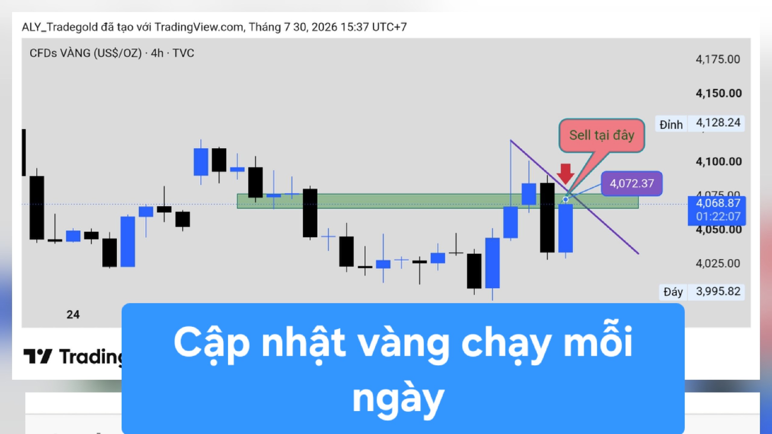 ALY TRADE GOLD