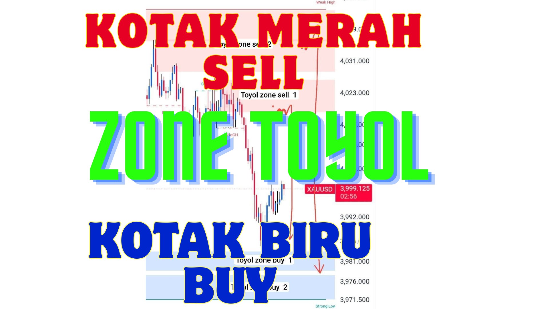 TRADER OTAI