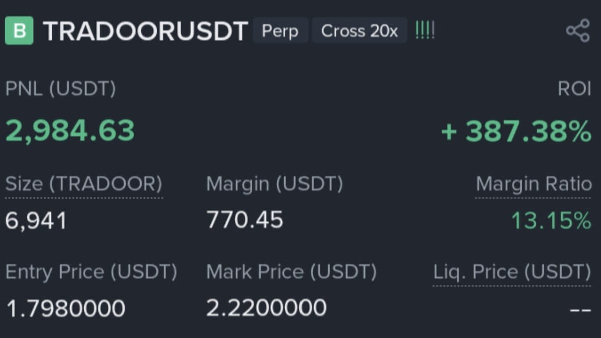 Satoshi Owl