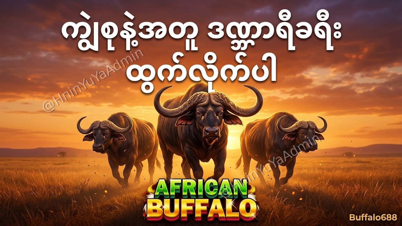 ကျွဲဂိမ်းအစစ် Buffalo688 ၊ကျွဲဘုရင် ၊ရှမ်းကိုးမီး၊ဘူကြီး