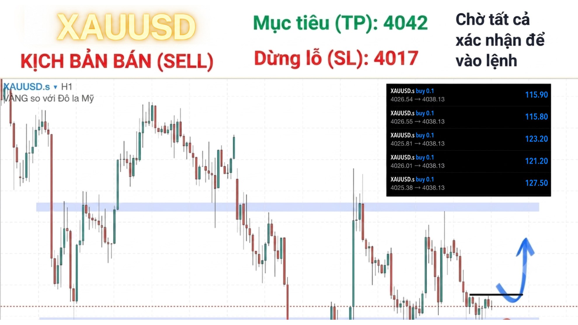 Elliot Wave VN