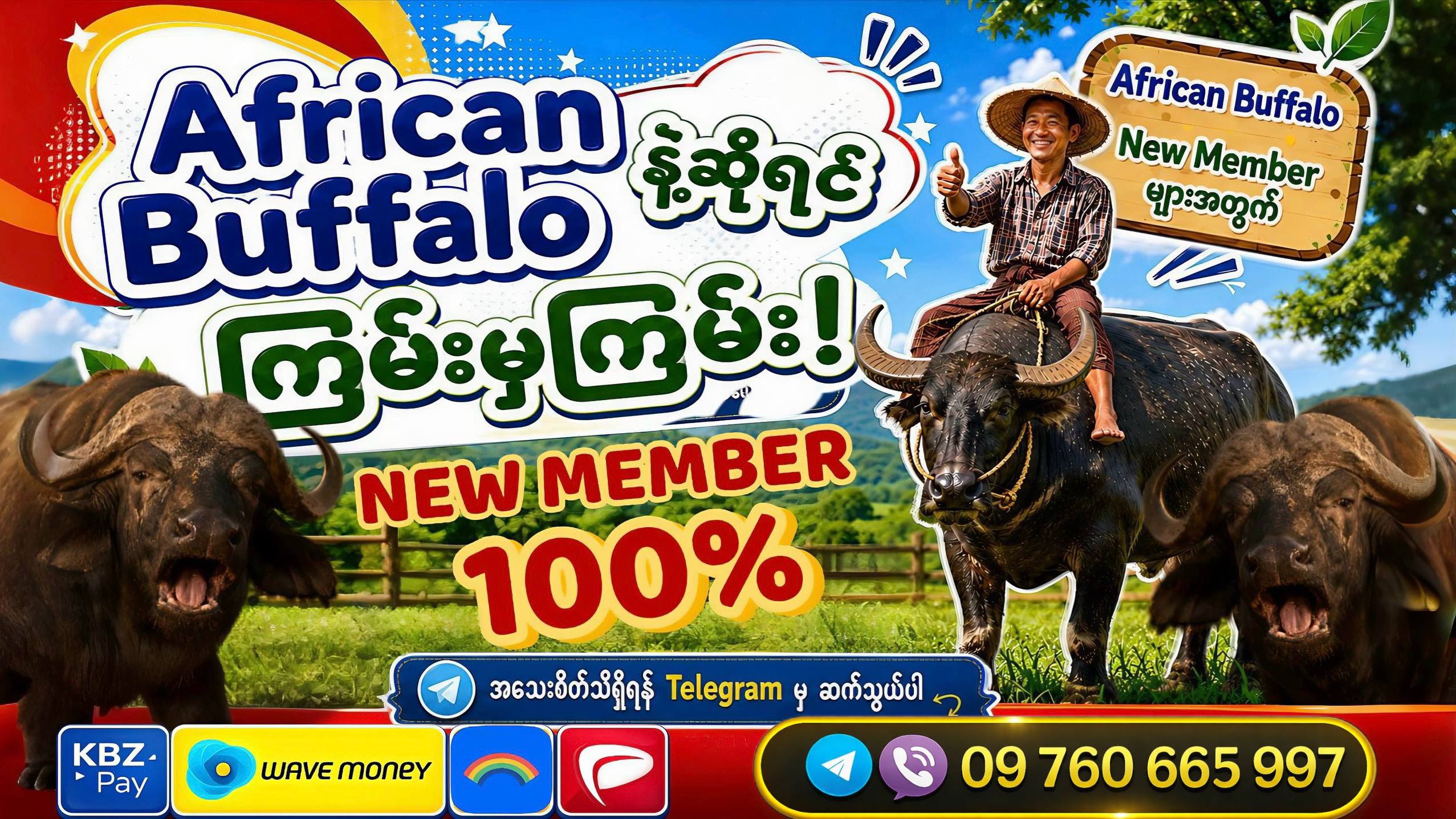 American Buffalo