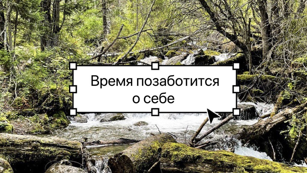 Лига Свободных Душ