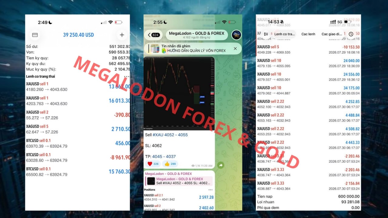 MegaLodon GOLD & FOREX