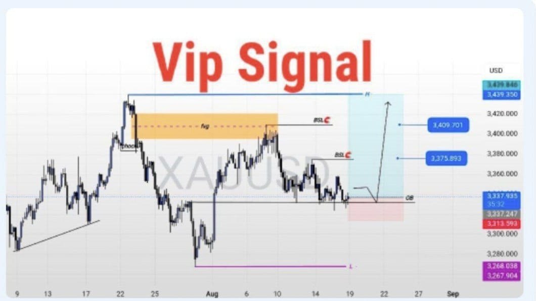 FOREX WARRIORS