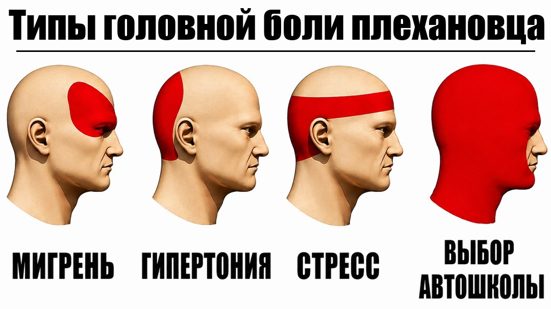 Автошкола для студентов РЭУ