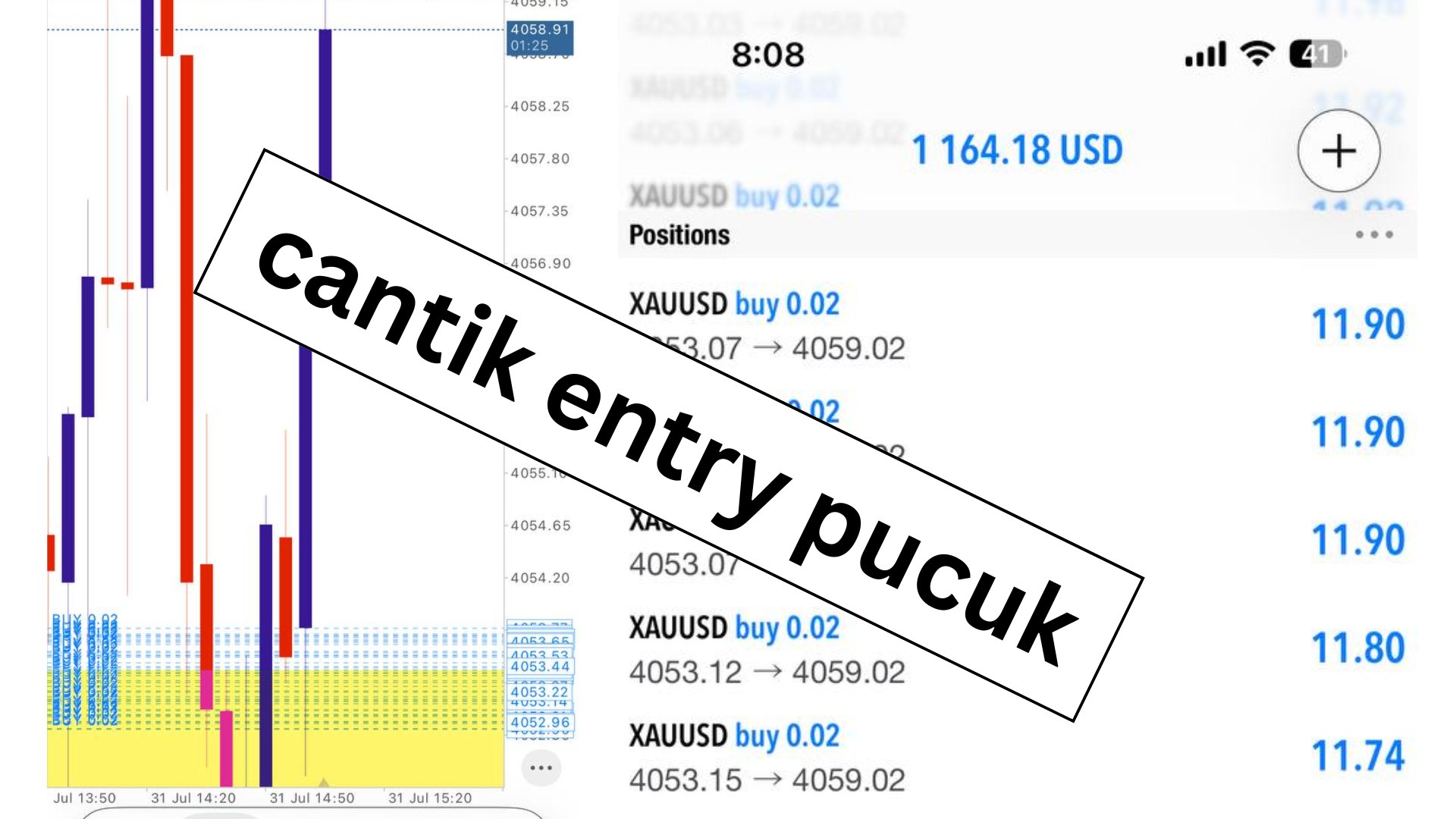 Along Gold Scalper