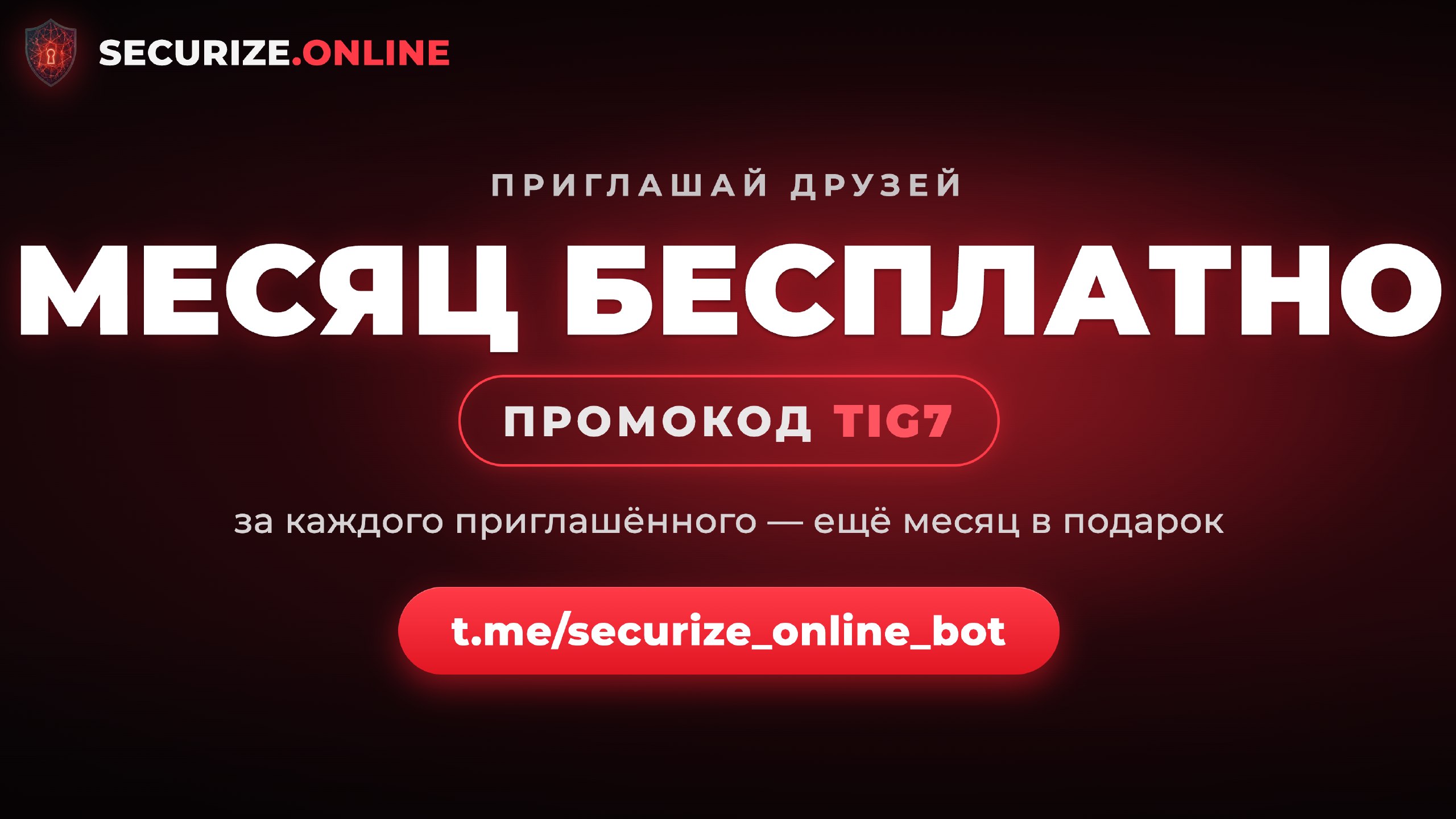 Securize.Online VPN