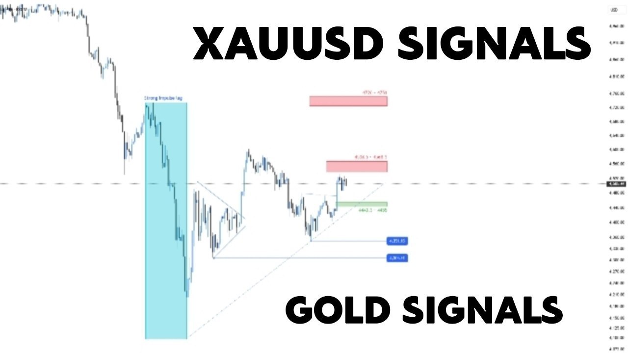 XAUUSD GOLD TRADER