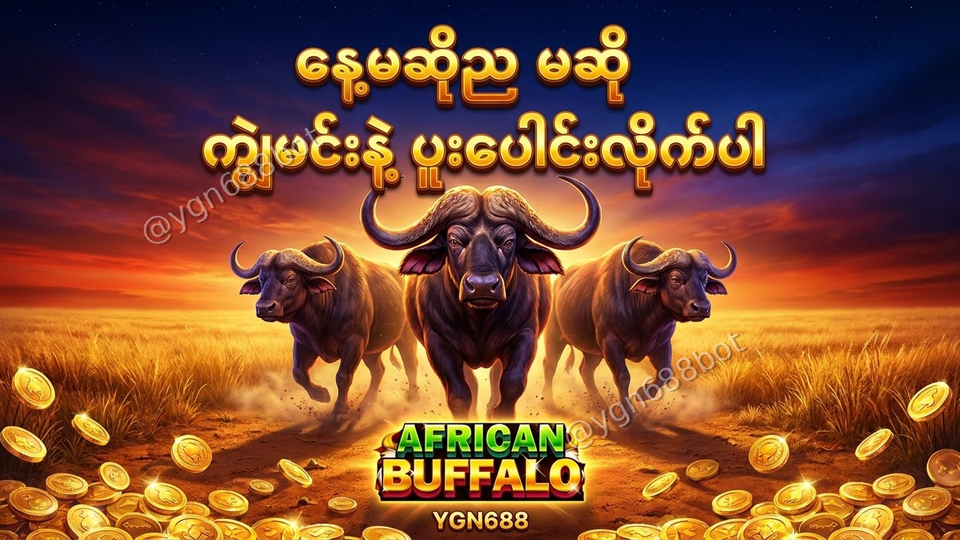 YGN688 - အော်တိုတိုက်ရိုက်ဂိမ်းဆိုက်