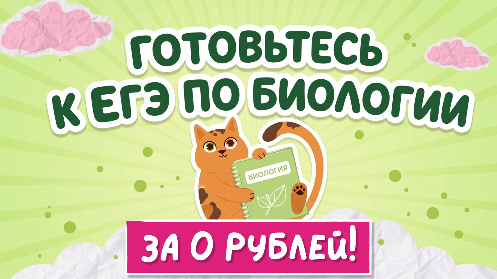 биология и котики / ЕГЭ ОГЭ Стадикэтс