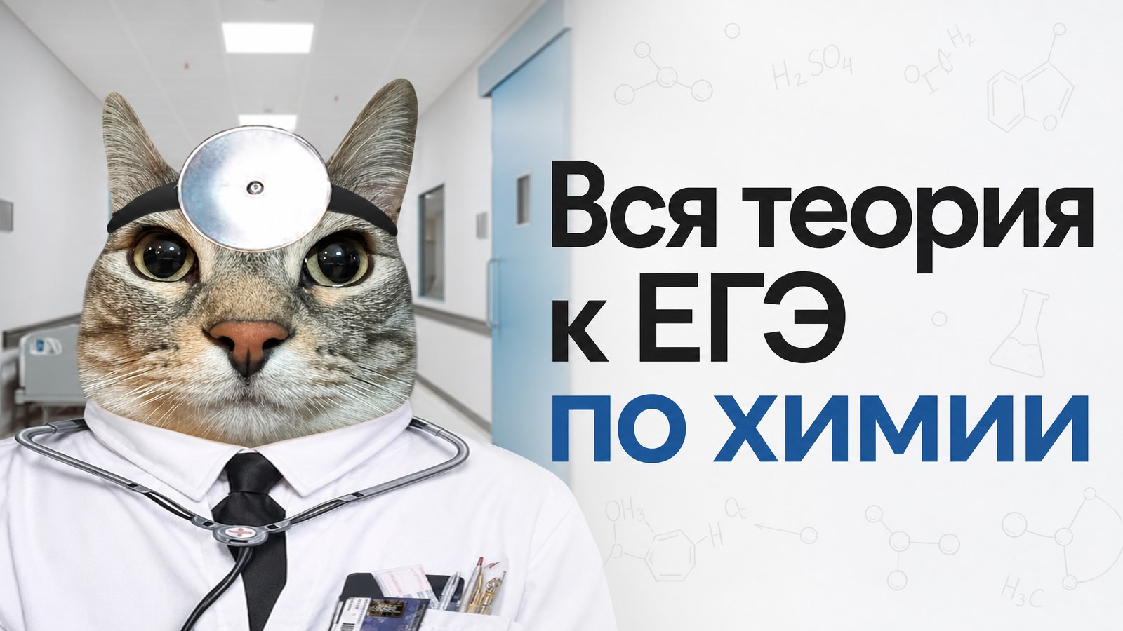 Катя Строганова | Химия ЕГЭ