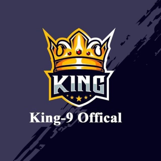 @kingninebot
