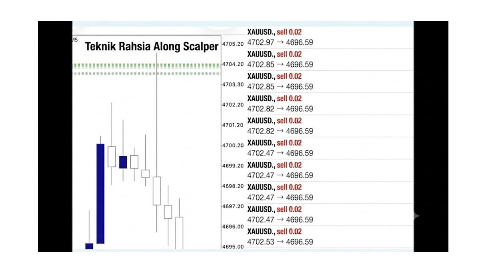 Along Gold Scalper
